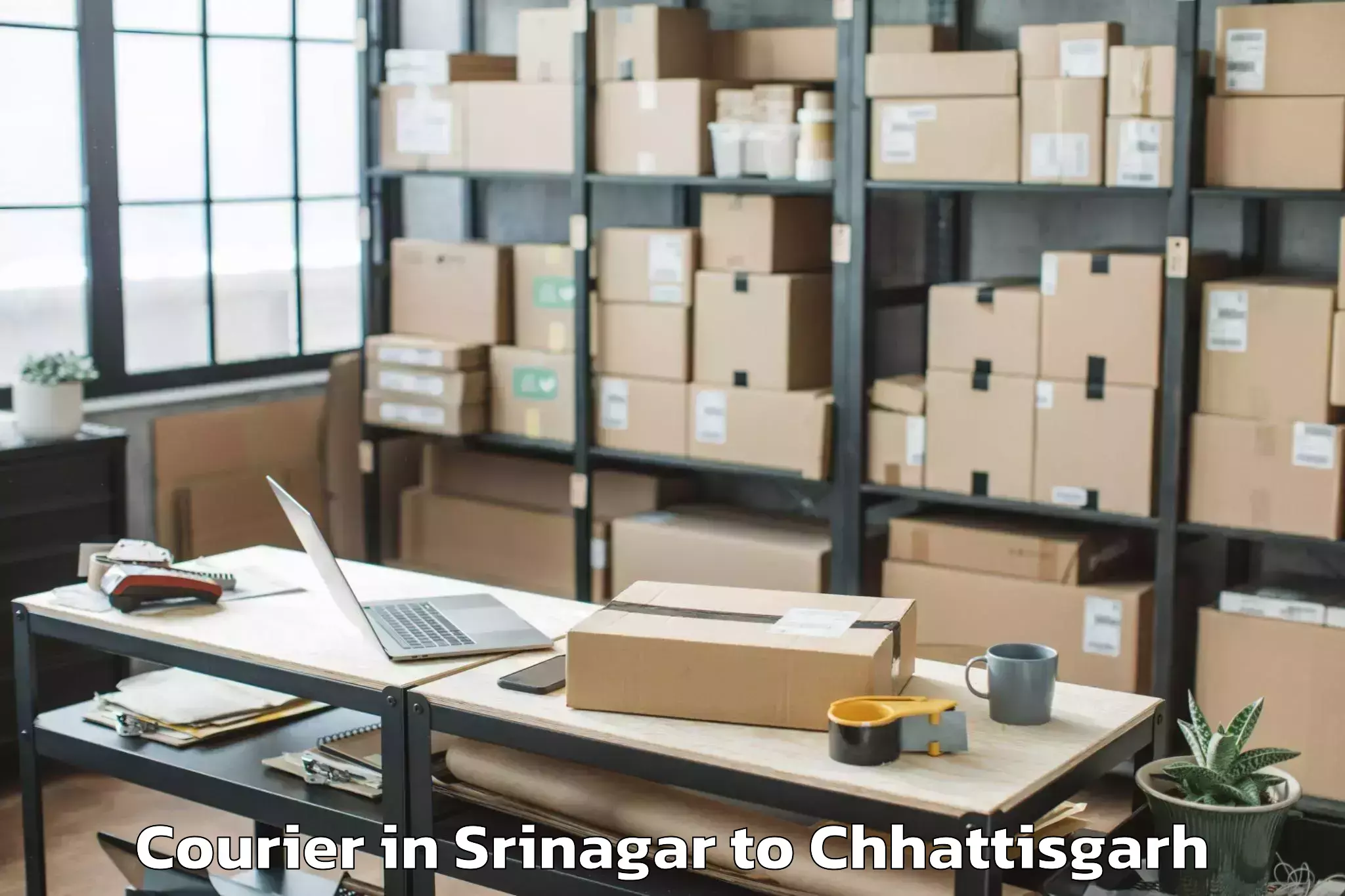 Professional Srinagar to Gharghoda Courier